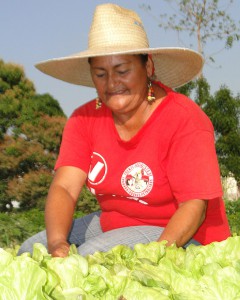 Agricultura urbana, Bayamo