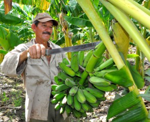 Amauri Ramírez Fernández / FOTO Rafael Martínez Arias