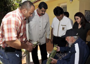 Fidel 5