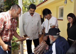 Fidel 6