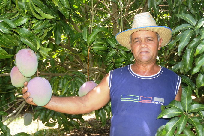 Frutas, Sierra Maestra