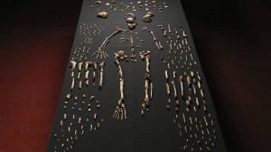 Homo naledi 2