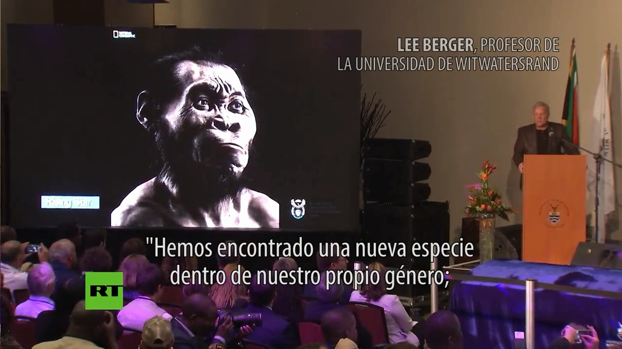 Homo naledi 3