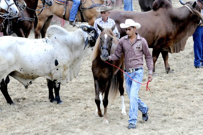 Feria Agropecuaria, Granma 2015
