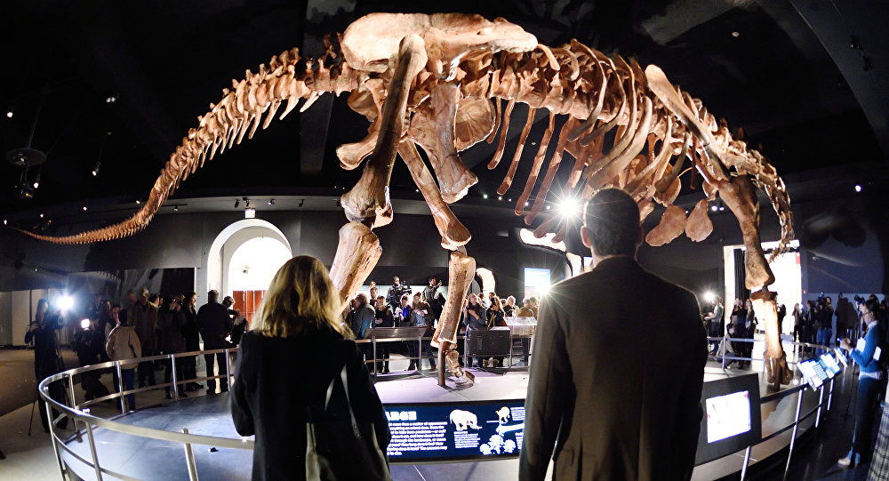 El titanosaurio argentino que revoluciona Nueva York El titanosaurio argentino que revoluciona Nueva York
