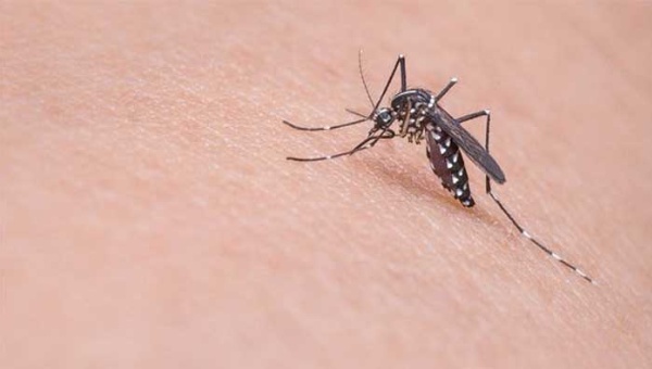 Colombia en fase de alerta por expansión del Zika Colombia en fase de alerta por expansión del Zika