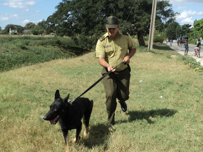 FOTO Yelandi Milanés Guardia