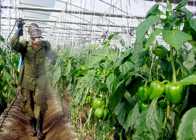 Cuba organizará encuentro internacional de agricultura sostenible Cuba organizará encuentro internacional de agricultura sostenible