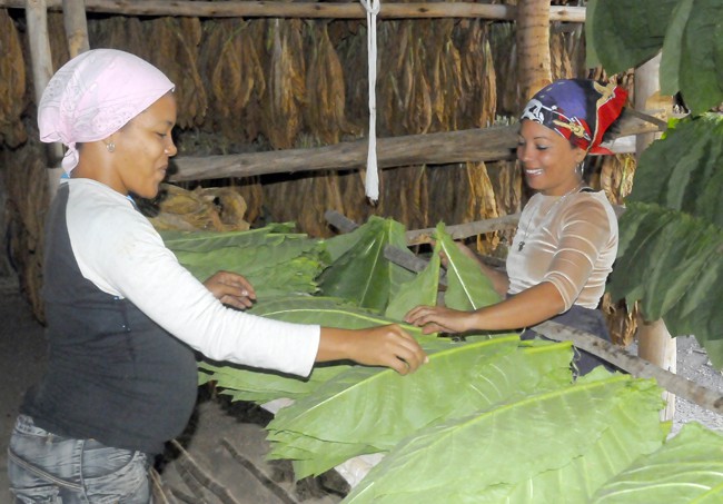 mujeres-agricultoras