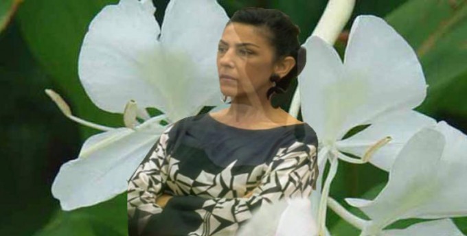 5282-celia-sanchez