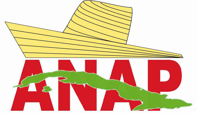 Denuncian pretensión de EE.UU. de quebrantar unidad de los cubanos Denuncian pretensión de EE.UU. de quebrantar unidad de los cubanos