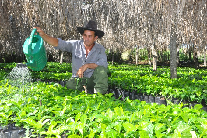 FOTO / Rafael Martínez Arias