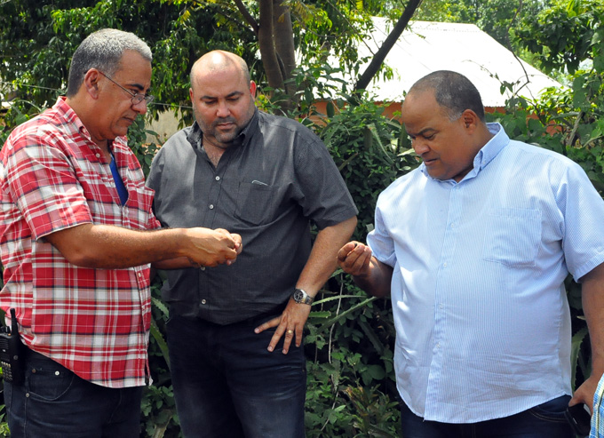 Idel Marrero , a la izquierda, Alfred Crespo, en el centro, y Federico Hernández, a la derecha, observan semilla secas de jatropha curcas, en la finca numéro Uno ColoradoFOTO/Rafael Martínez Arias