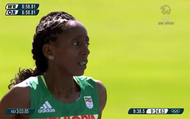 Hiwot Ayalew