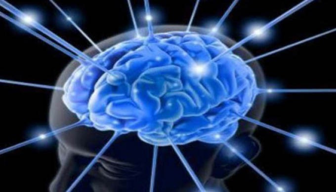 neurociencia