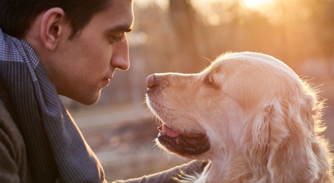 perros22_0