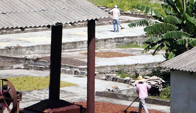 Despulpadora ecológica FOTO/ Luis Carlos Palacios