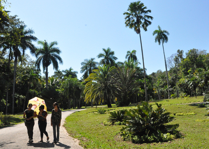 Jardín Botánico 1