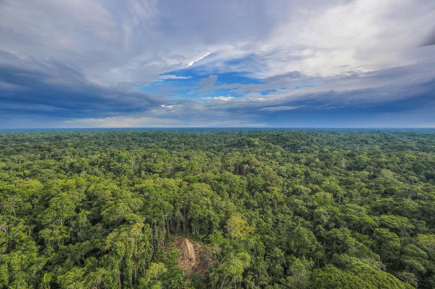 Fotógrafo captura imágenes de una tribu amazónica aislada (+ fotos) Fotógrafo captura imágenes de una tribu amazónica aislada (+ fotos)