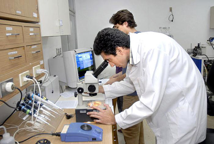 Cuba expondrá resultados de la tecnología médica Cuba expondrá resultados de la tecnología médica