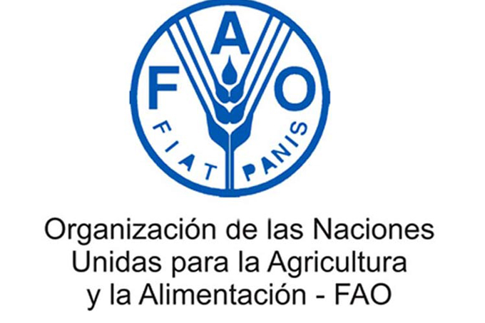 Consejo de la FAO inicia el 156 período de sesiones Consejo de la FAO inicia el 156 período de sesiones