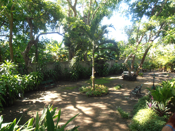 Identifican 17 jardines en Granma con plantas llamativas Identifican 17 jardines en Granma con plantas llamativas
