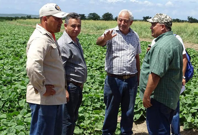 Reconocen avances productivos en Jiguaní Reconocen avances productivos en Jiguaní