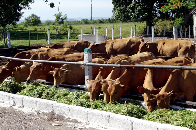 Debatirán hoy diputados situación de la producción agrícola Debatirán hoy diputados situación de la producción agrícola
