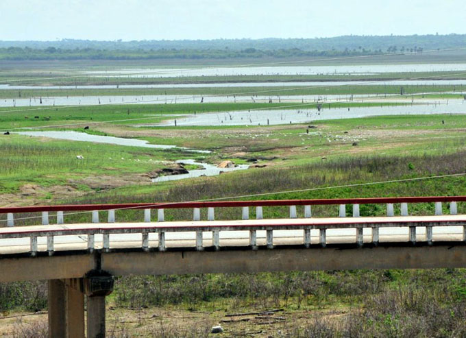 Impacta la sequía en el 43 por ciento del territorio nacional Impacta la sequía en el 43 por ciento del territorio nacional