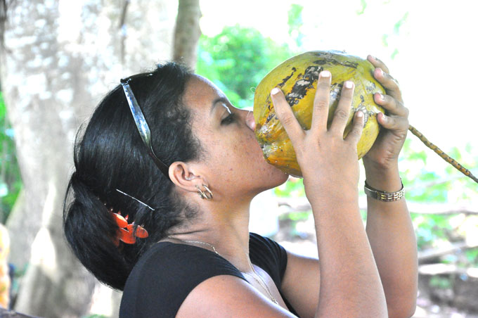 Granma acometerá programa de desarrollo del coco Granma acometerá programa de desarrollo del coco