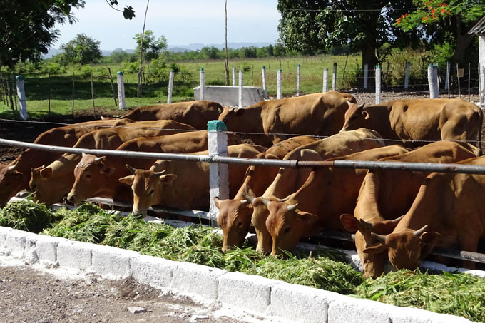 Convocan a Evento nacional de Economía Agropecuaria Convocan a Evento nacional de Economía Agropecuaria