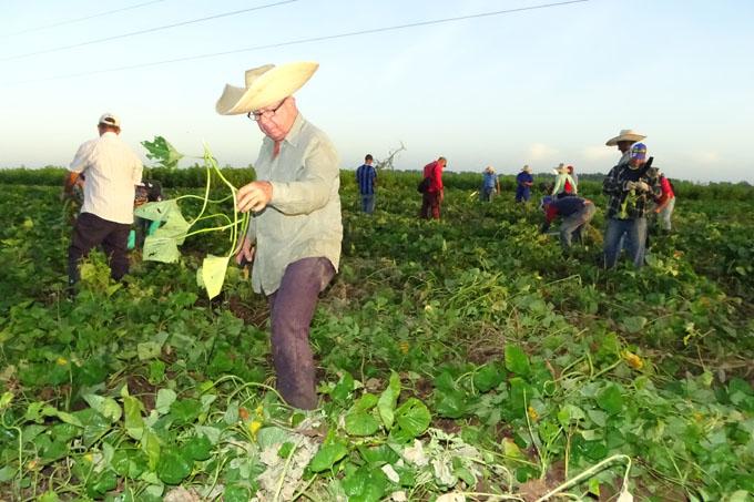 Comenzó jornada de homenaje a trabajadores agropecuarios Comenzó jornada de homenaje a trabajadores agropecuarios