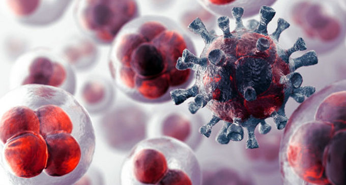 Demuestran uso de nanopartículas para combatir bacterias resistentes Demuestran uso de nanopartículas para combatir bacterias resistentes
