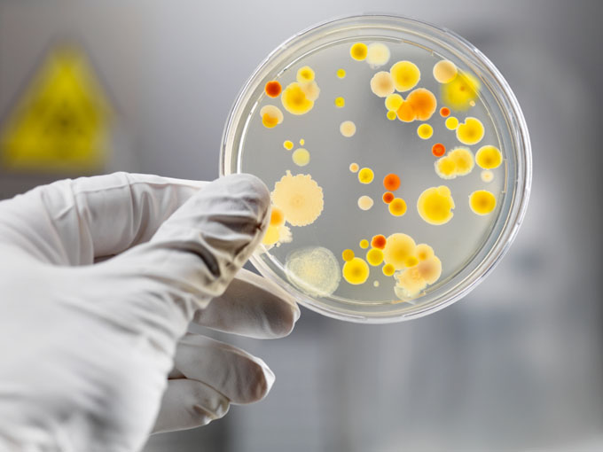 Inician sesiones científicas del IX Congreso Cubano de Microbiología Inician sesiones científicas del IX Congreso Cubano de Microbiología