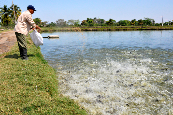 Del agua dulce a la industria Del agua dulce a la industria