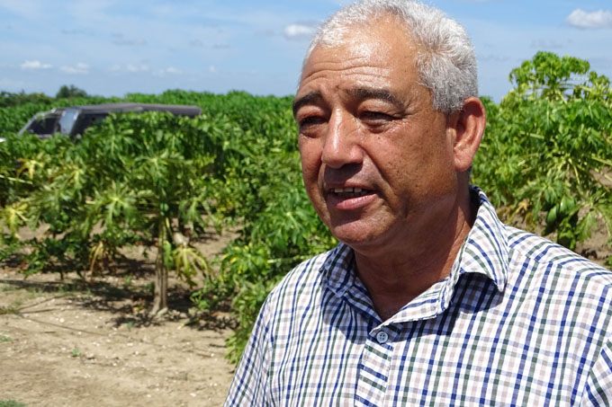 Renacer de cítricos y los frutales en polo productivo de Jiguaní Renacer de cítricos y los frutales en polo productivo de Jiguaní