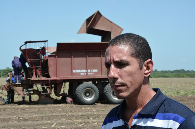 Empresa azucarera busca cumplir en la siembra de caña Empresa azucarera busca cumplir en la siembra de caña