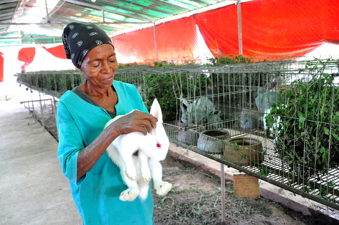 Agricultura en Bayamo: De lo diferente y lo racional Agricultura en Bayamo: De lo diferente y lo racional