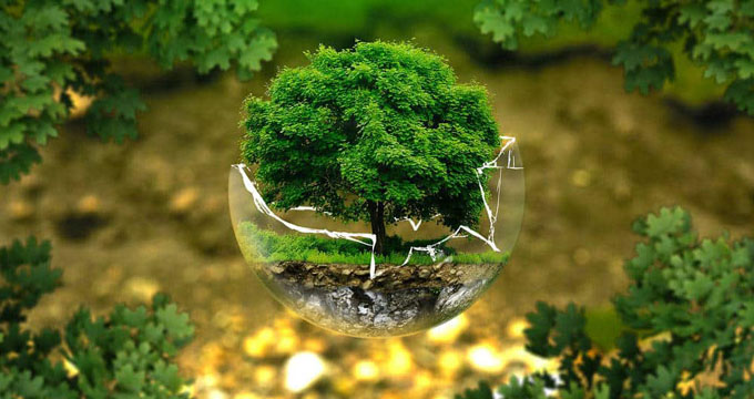 Cambio climático en el centro de actividades de ONU en 2019 Cambio climático en el centro de actividades de ONU en 2019