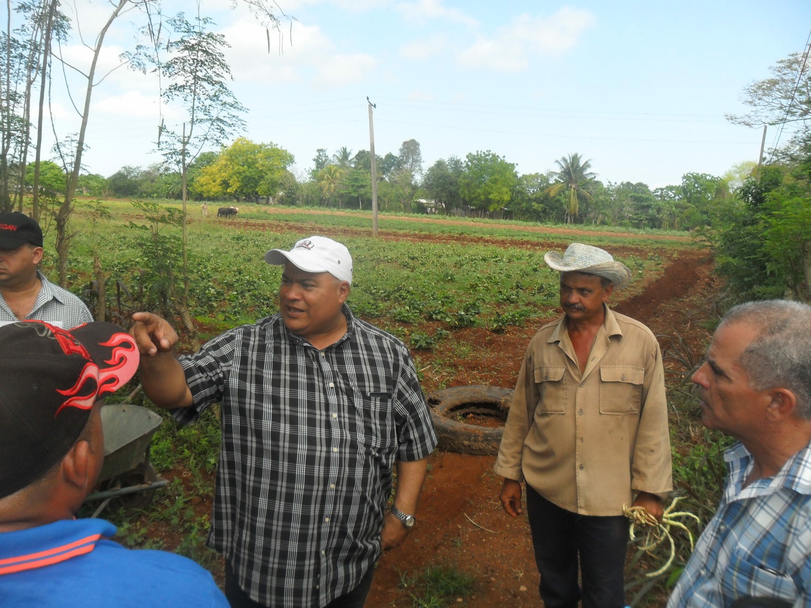Insisten en aprovechar cada espacio para producir alimentos Insisten en aprovechar cada espacio para producir alimentos