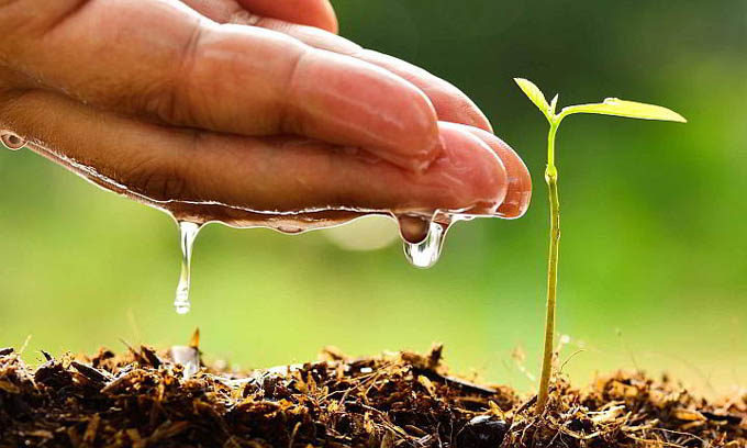Granma acciona ante el cambio climático (+ audio) Granma acciona ante el cambio climático (+ audio)