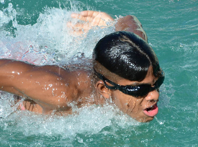 El tritón que conquistó La Habana El tritón que conquistó La Habana