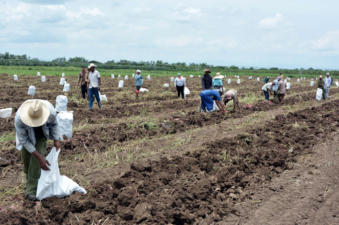 Agropecuarios en 26 (+ video) Agropecuarios en 26 (+ video)