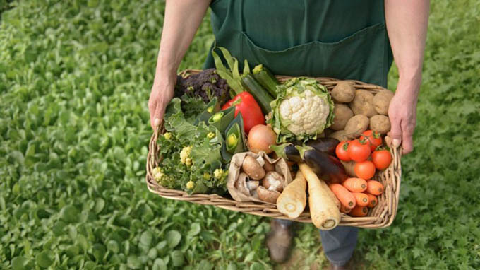Hambre Cero para 2030, una meta global de la que Cuba es partícipe Hambre Cero para 2030, una meta global de la que Cuba es partícipe