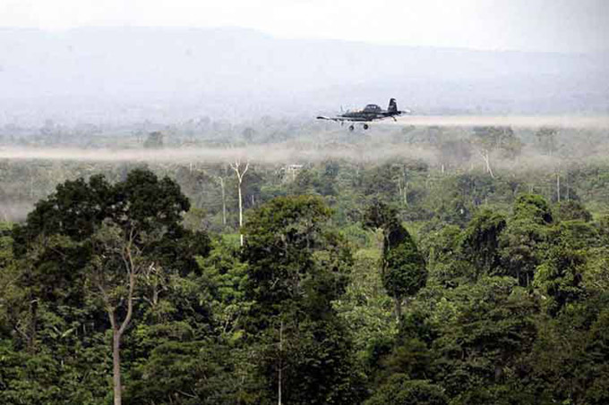 Uso del glifosato en Colombia: la polémica continúa Uso del glifosato en Colombia: la polémica continúa