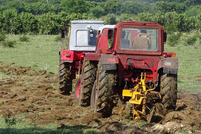 Convocan a agricultores a producir más alimentos Convocan a agricultores a producir más alimentos