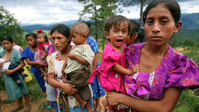 Destacan en FAO retos frente al hambre y la malnutrición (+ video) Destacan en FAO retos frente al hambre y la malnutrición (+ video)