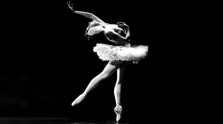 Alicia: el vuelo eterno del cisne Alicia: el vuelo eterno del cisne