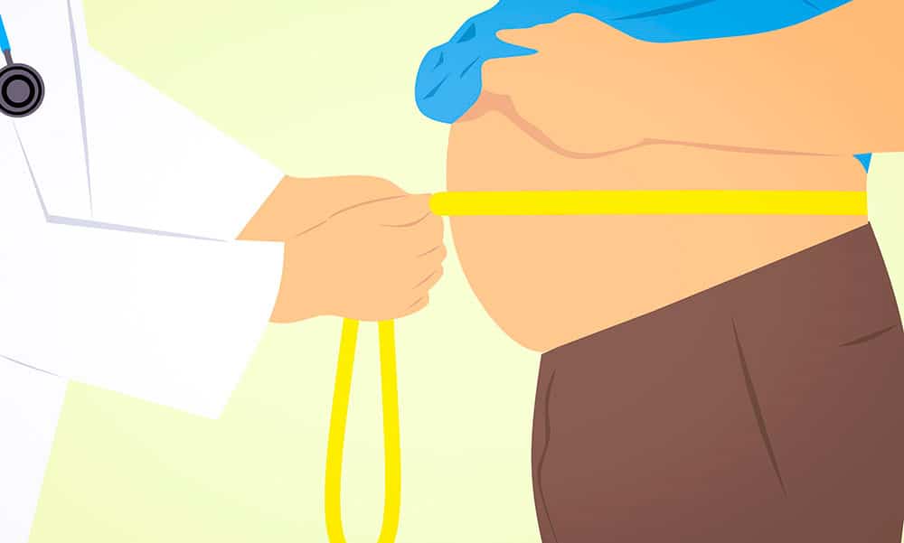 Ojo con la obesidad y el hígado graso Ojo con la obesidad y el hígado graso