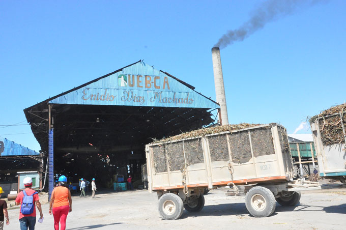 Crece el optimismo en el “Enidio” tras arrancada en la zafra Crece el optimismo en el “Enidio” tras arrancada en la zafra